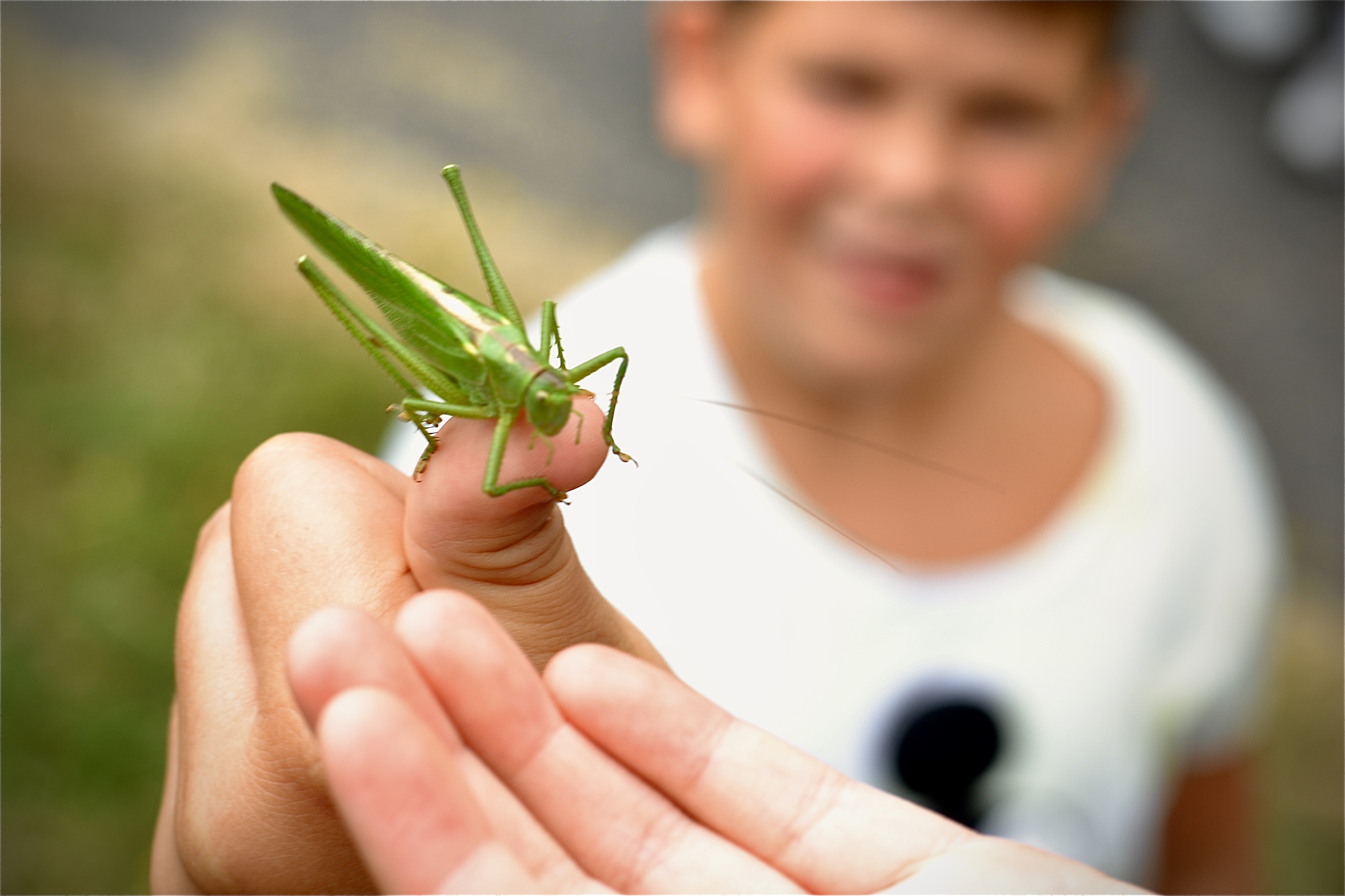 l_zooplzen-CMYK-1 PNG.png, 38kB